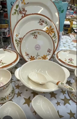 Stehlen pure melamine 33pc dinner set