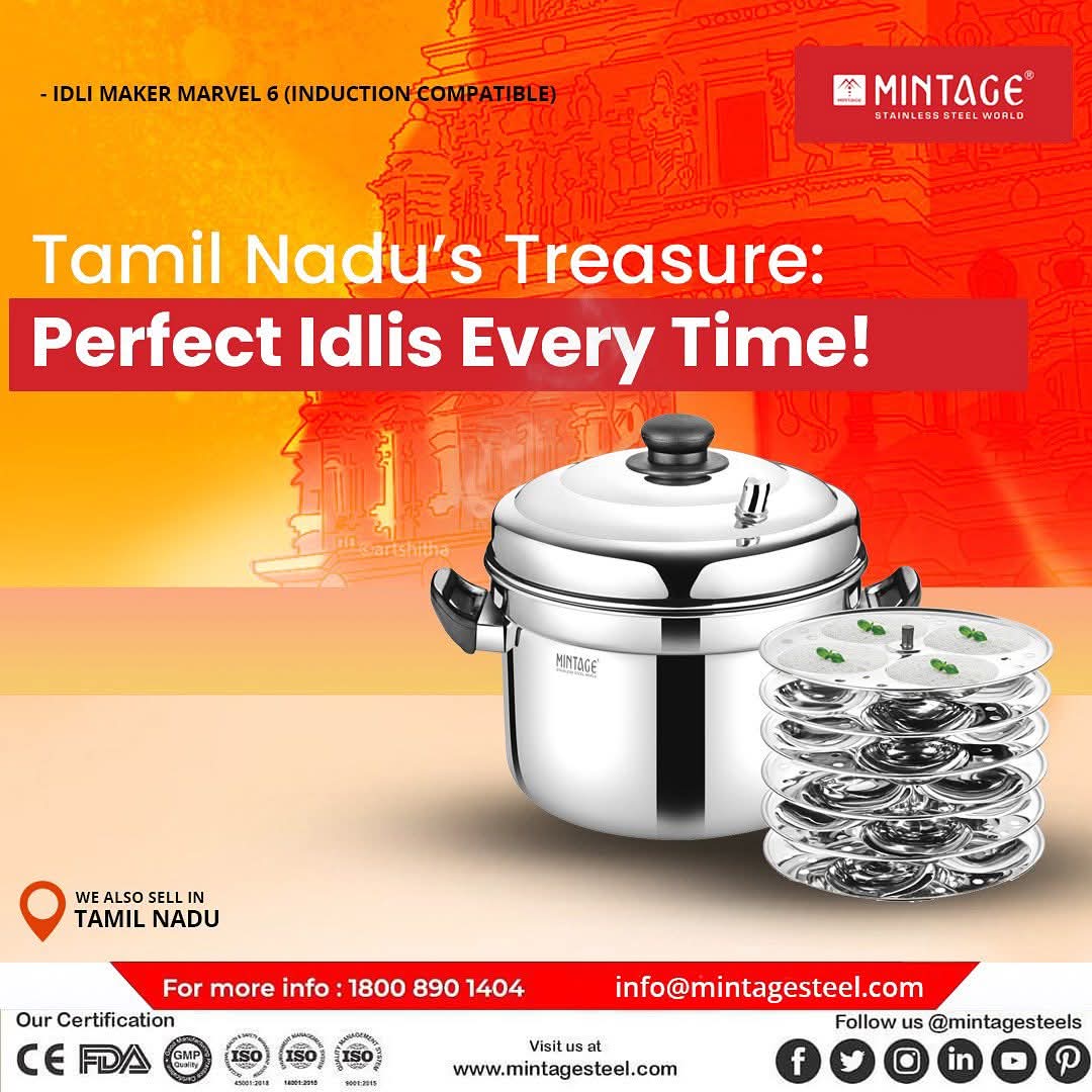 Mintage Stainless Steel Idli Maker with outer case
