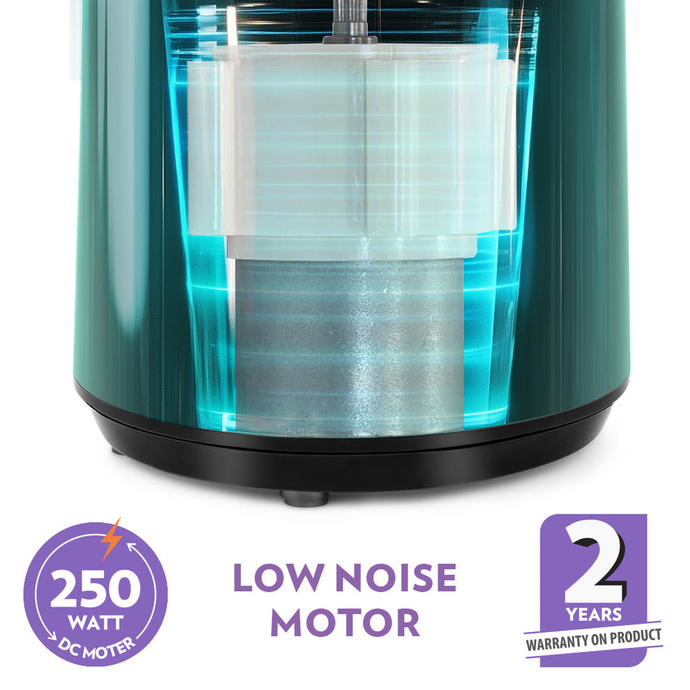 BOROSIL Vita Rich 250 W Juicer | Slow juicer | Cold press juicer