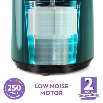 BOROSIL Vita Rich 250 W Juicer | Slow juicer | Cold press juicer