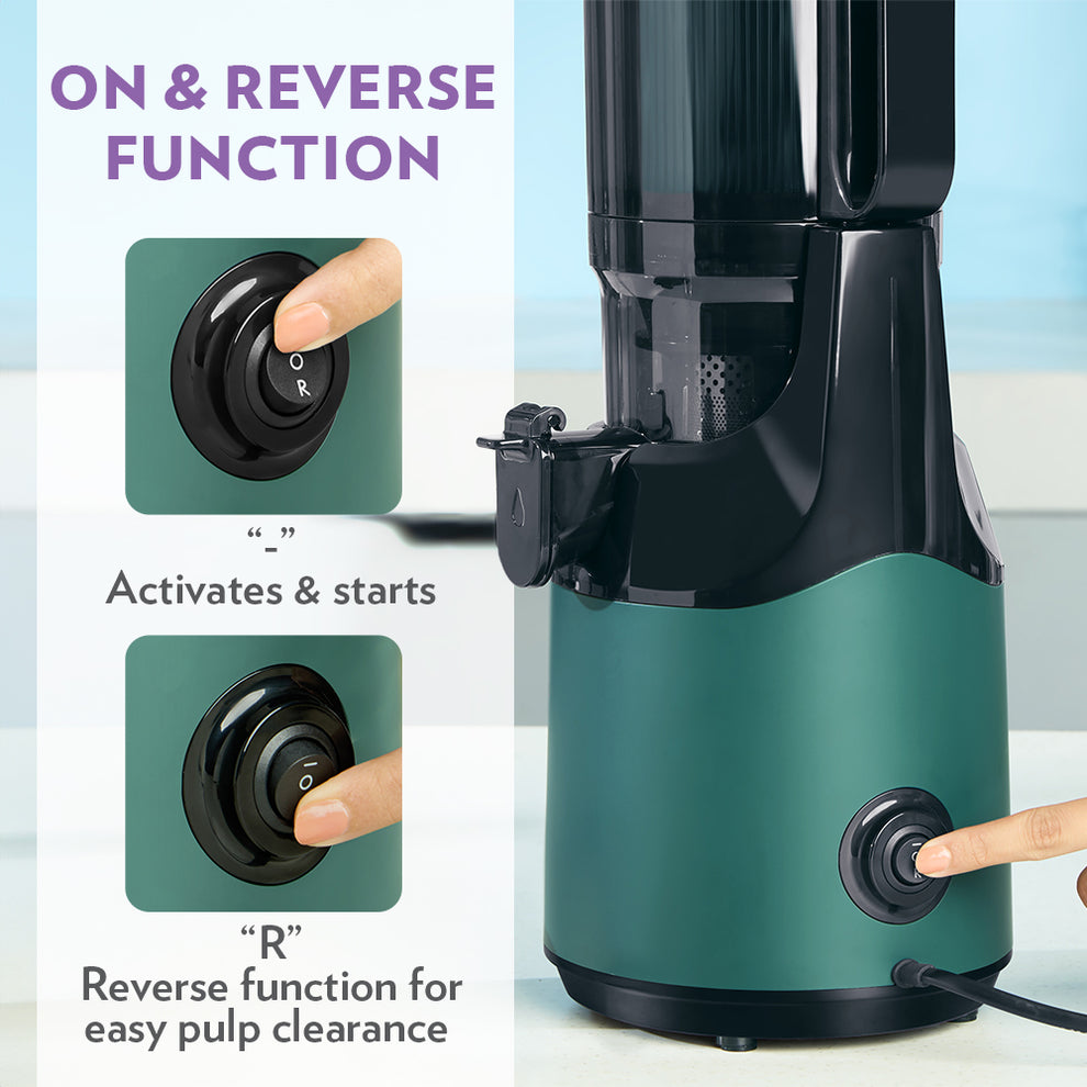 BOROSIL Vita Rich 250 W Juicer | Slow juicer | Cold press juicer