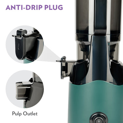 BOROSIL Vita Rich 250 W Juicer | Slow juicer | Cold press juicer